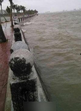 湛江新闻怎样爆料,市民积极爆料，共建和谐家园